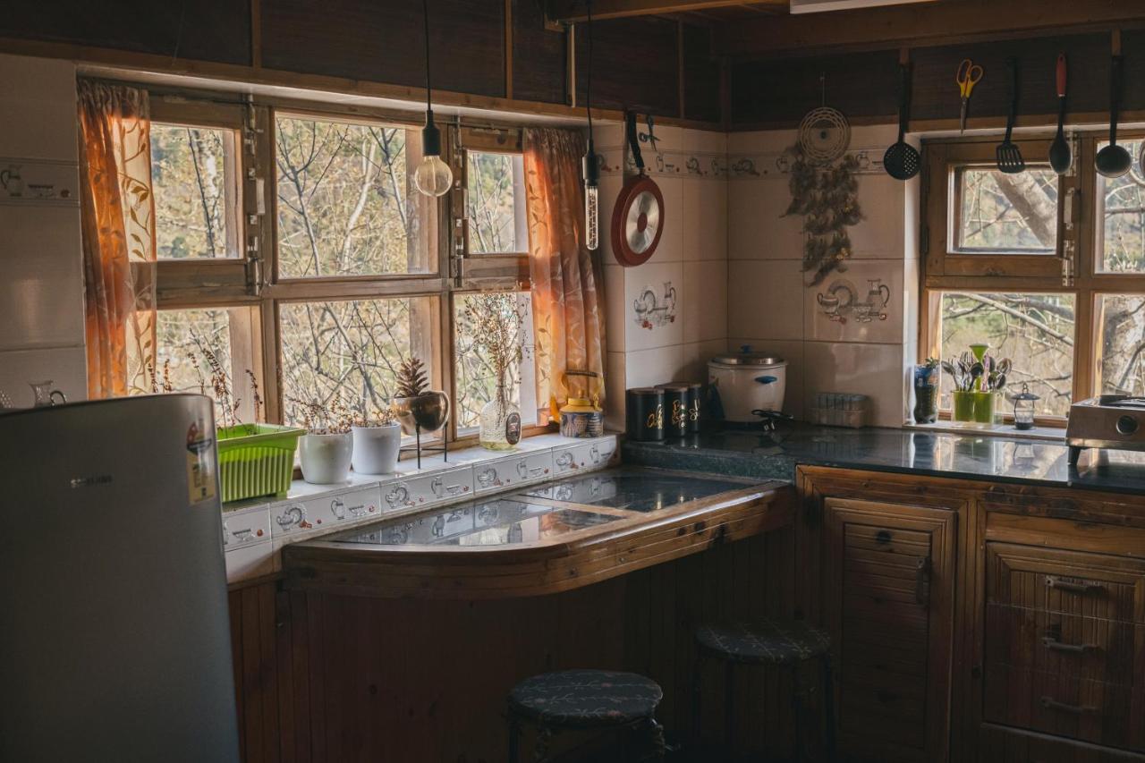 Gharsa - Your Mountain Home Manāli Dış mekan fotoğraf