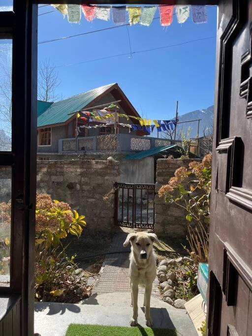 Gharsa - Your Mountain Home Manāli Dış mekan fotoğraf